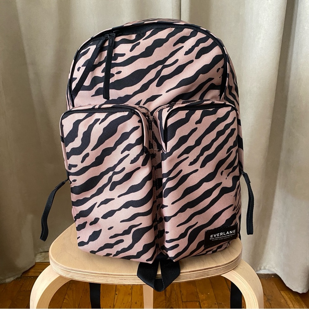 NWOT Everlane, The ReNew Transit Utility Backpack